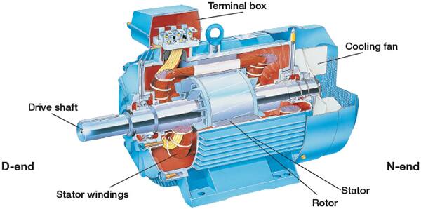 Elements of an AC induction motor